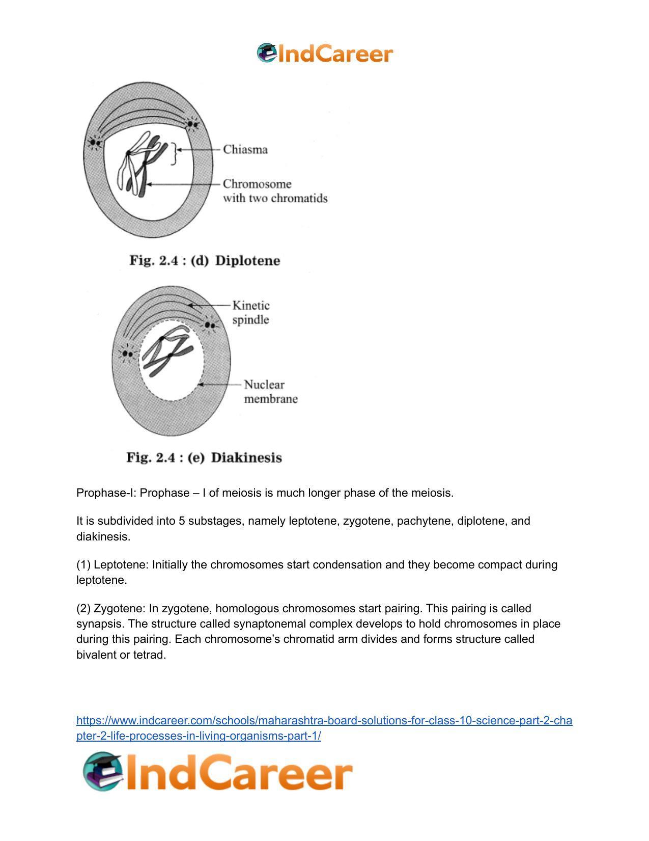 Maharashtra Board Solutions for Class 10- Science (Part 2): Chapter 2- Life Processes in Living Organisms Part – 1 - Page 15