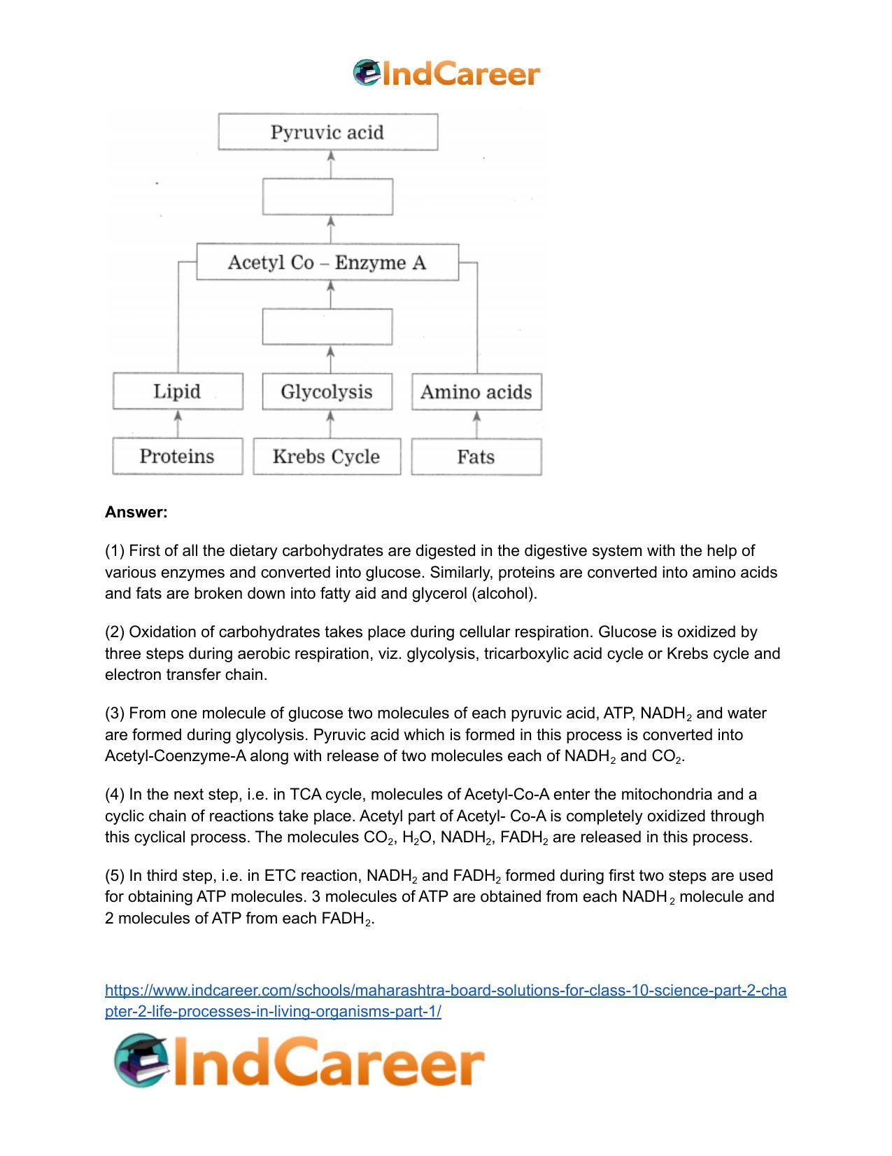 Maharashtra Board Solutions for Class 10- Science (Part 2): Chapter 2- Life Processes in Living Organisms Part – 1 - Page 18