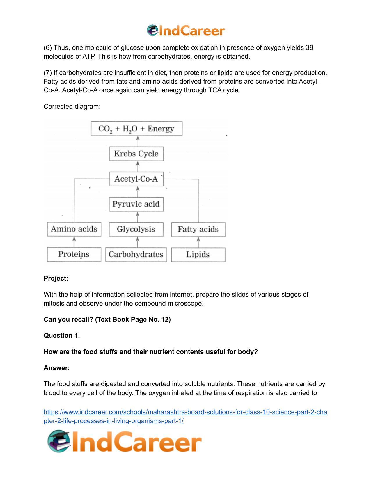 Maharashtra Board Solutions for Class 10- Science (Part 2): Chapter 2- Life Processes in Living Organisms Part – 1 - Page 19