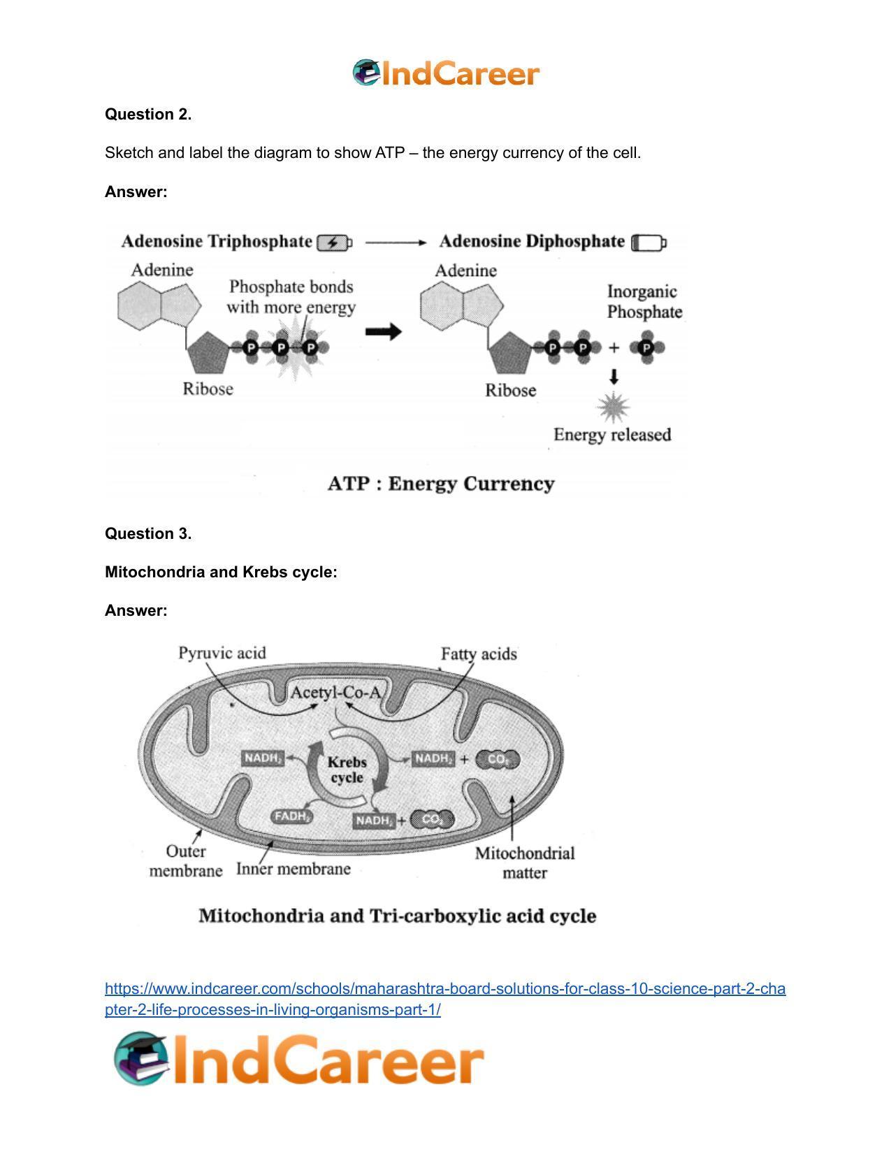 Maharashtra Board Solutions for Class 10- Science (Part 2): Chapter 2- Life Processes in Living Organisms Part – 1 - Page 46