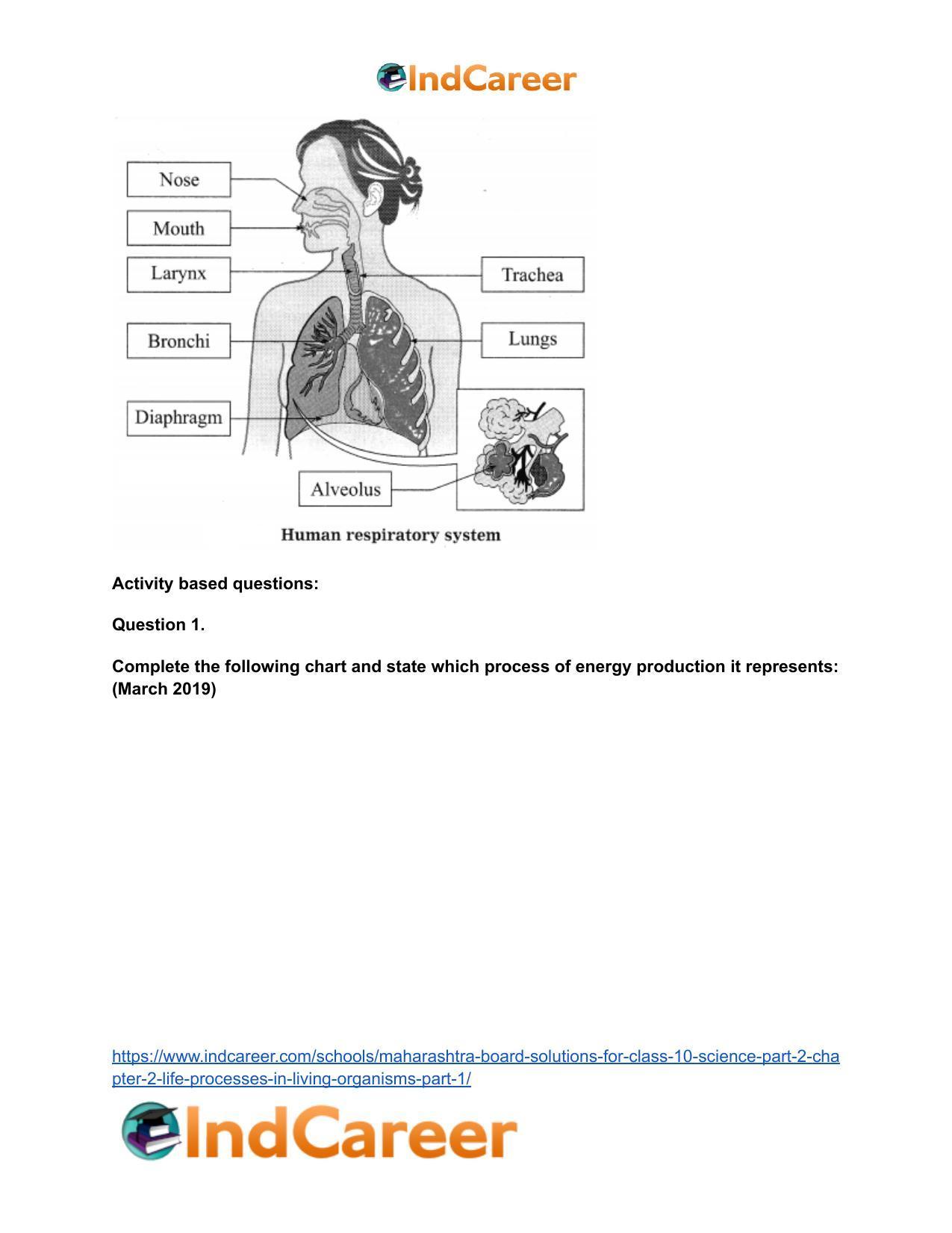 Maharashtra Board Solutions for Class 10- Science (Part 2): Chapter 2- Life Processes in Living Organisms Part – 1 - Page 50
