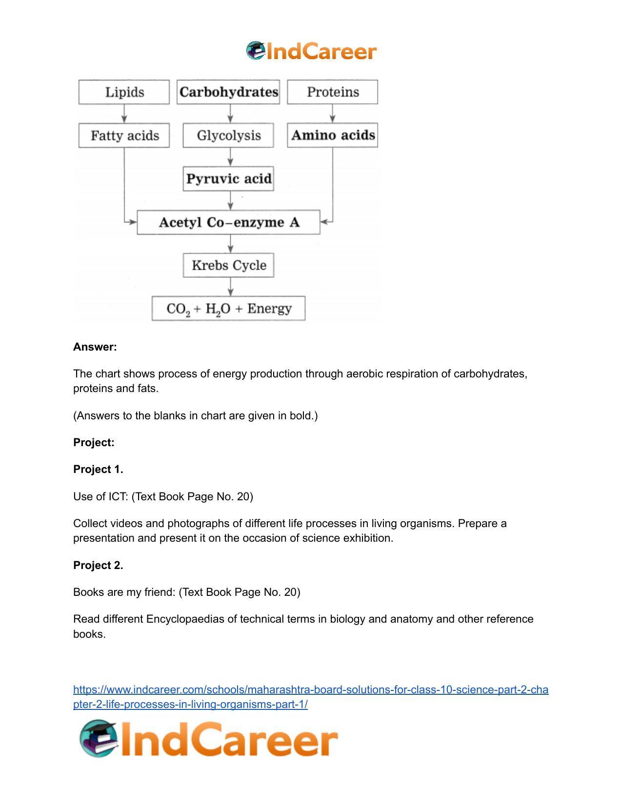 Maharashtra Board Solutions for Class 10- Science (Part 2): Chapter 2- Life Processes in Living Organisms Part – 1 - Page 51