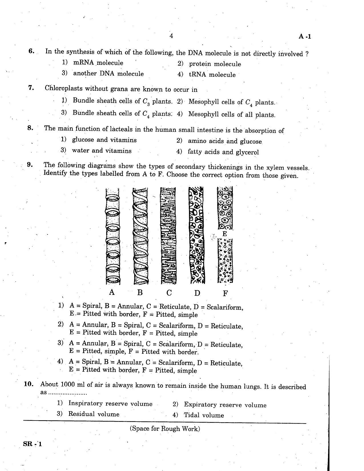 KCET Biology 2006 Question Papers - Page 4