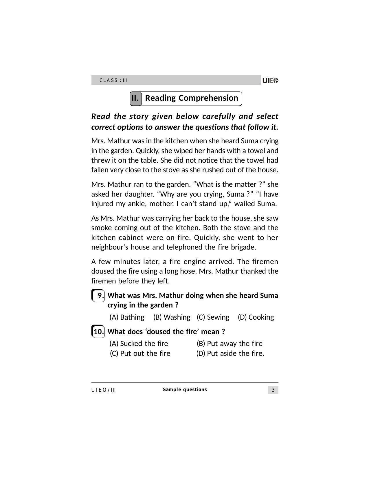 UIEO Sample Paper for Class 3 - Page 3