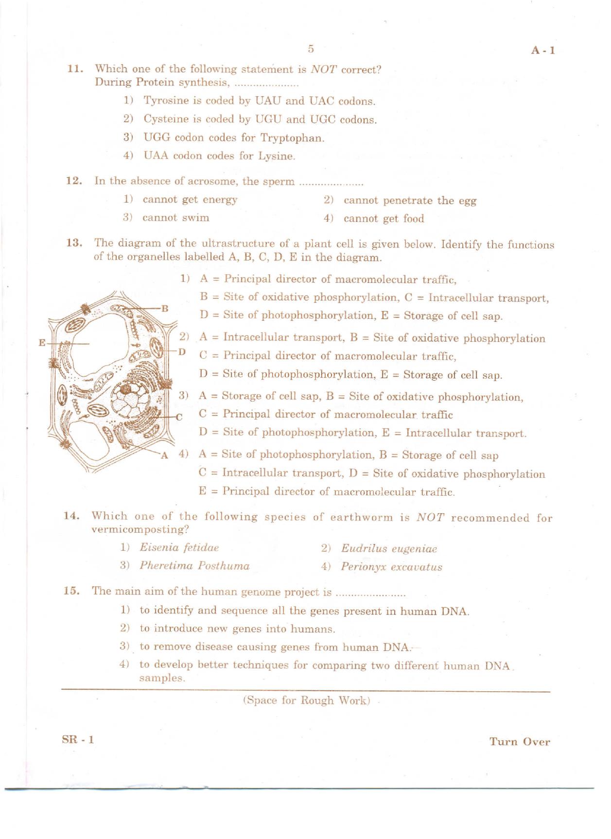 KCET Biology 2010 Question Papers - Page 4