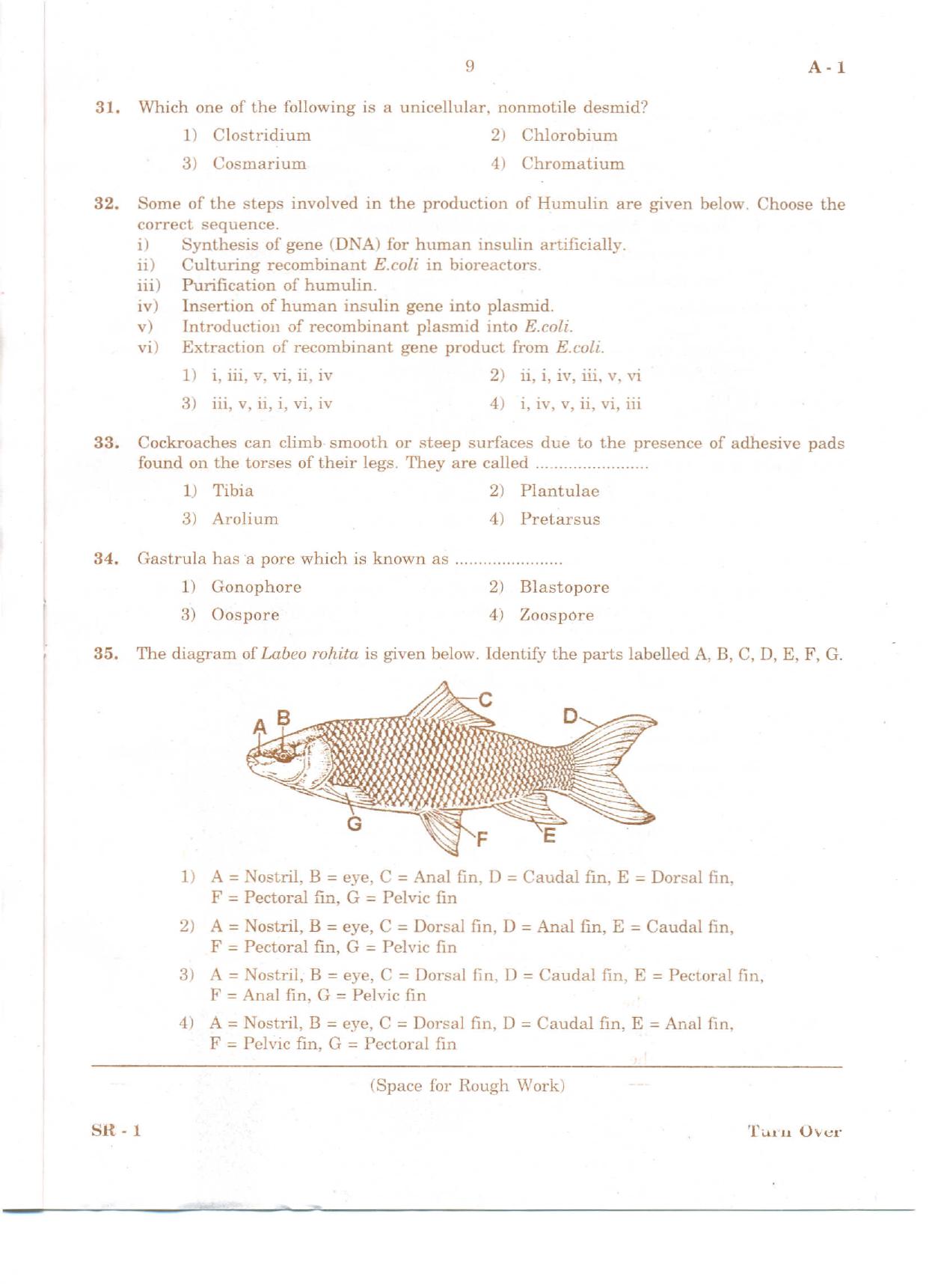 KCET Biology 2010 Question Papers - Page 8