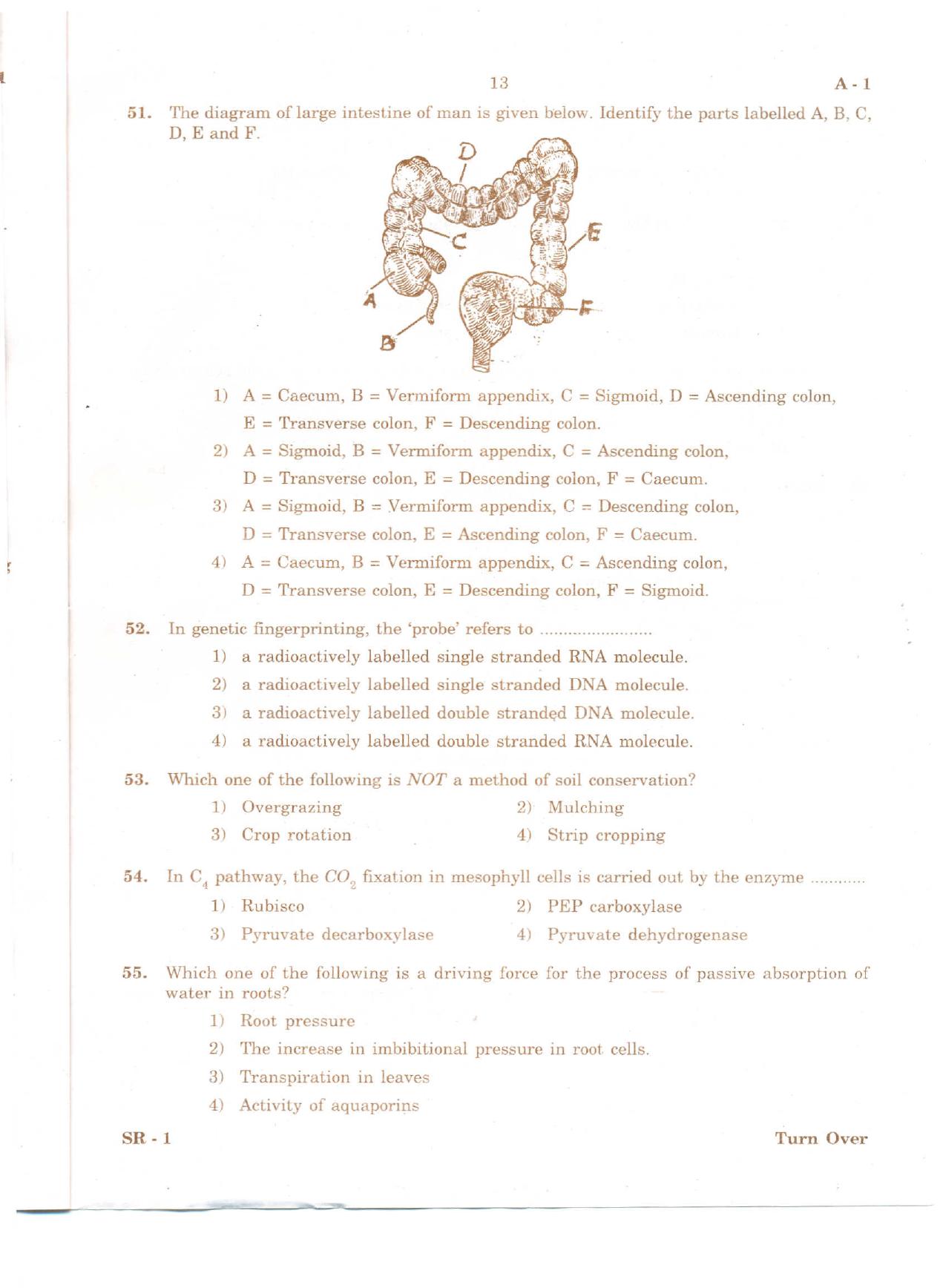 KCET Biology 2010 Question Papers - Page 12