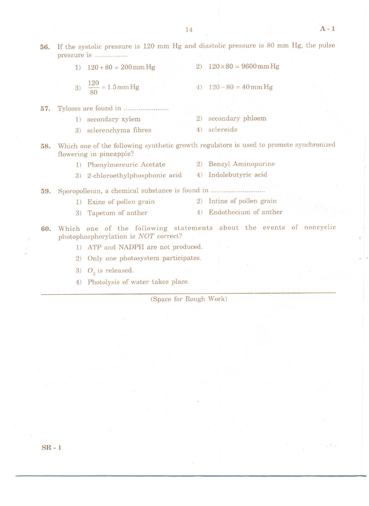 KCET Biology 2010 Question Papers - Page 13