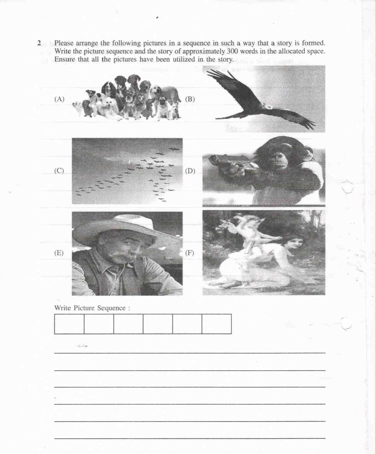 MICAT Sample Questions 2013-15 - Page 21