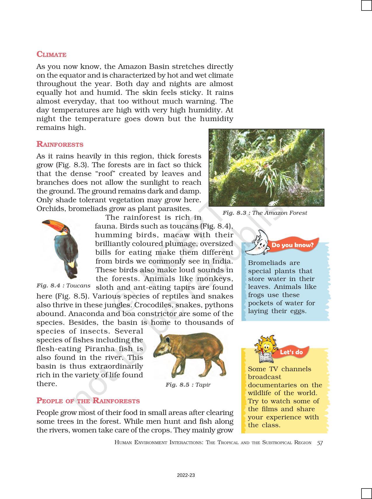 NCERT Book for Class 7 Social Science(Geography): Chapter 8-Human-Environment Interactions The Tropical and the Subtropical Region - Page 3