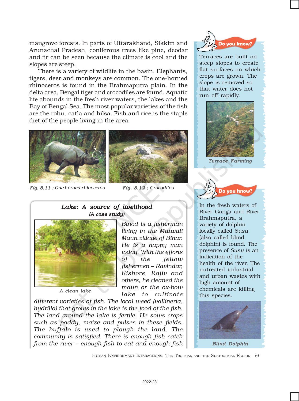 NCERT Book for Class 7 Social Science(Geography) Chapter 8Human
