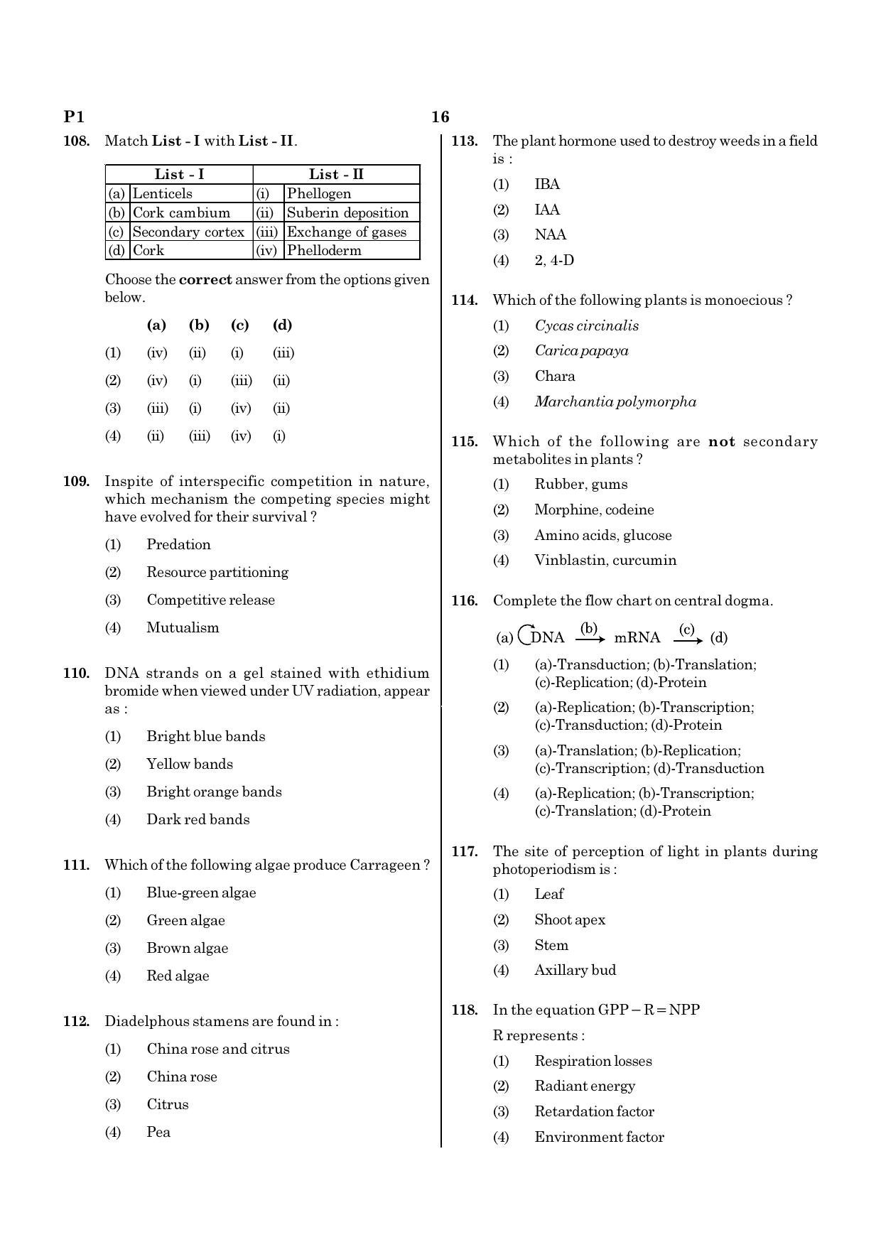 NEET P1 2021 Question Paper - Page 16