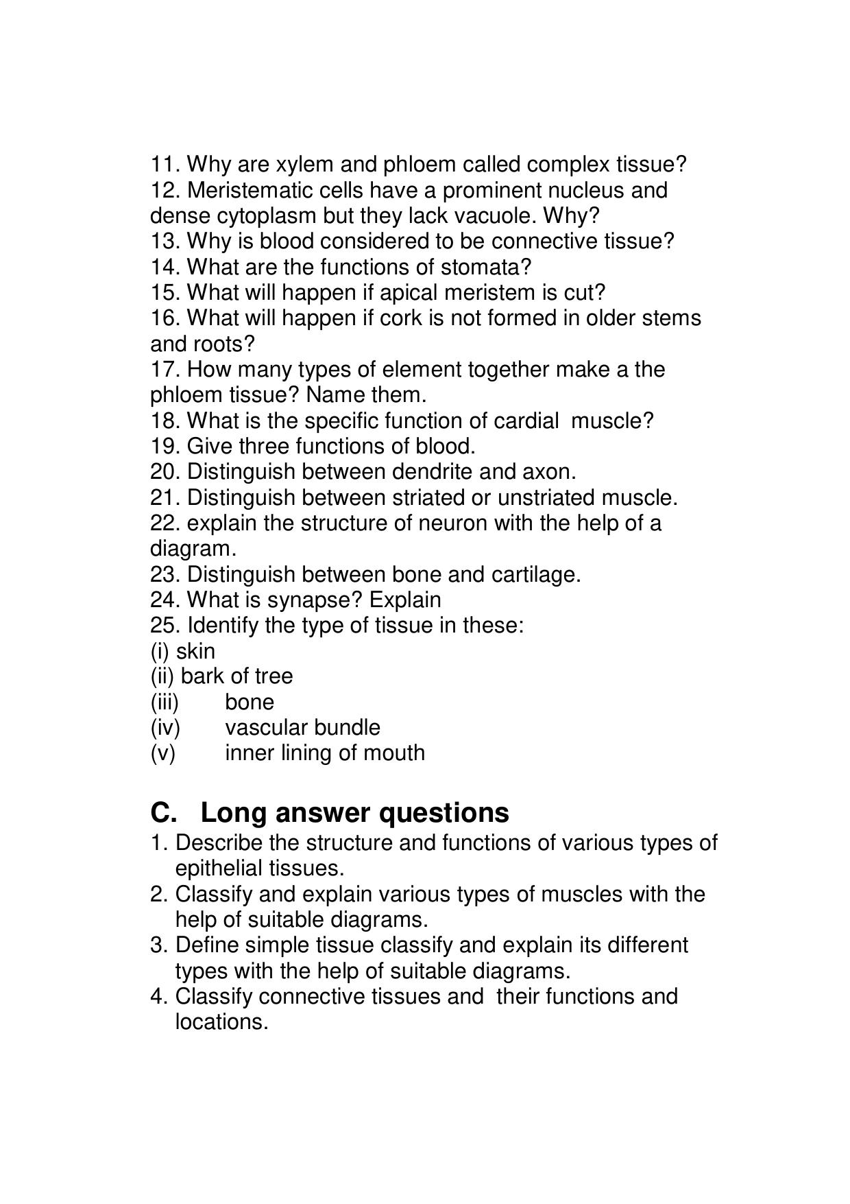 CBSE Worksheets for Class 9 Biology Tissues Assignment 2 - Page 3