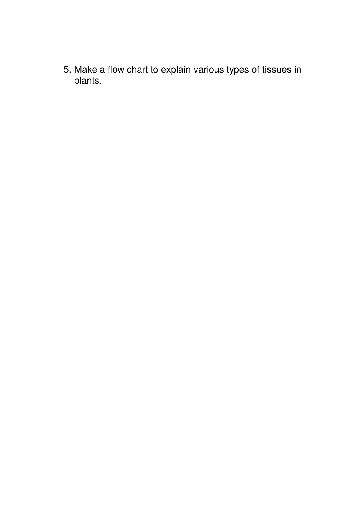 CBSE Worksheets for Class 9 Biology Tissues Assignment 2 - Page 4