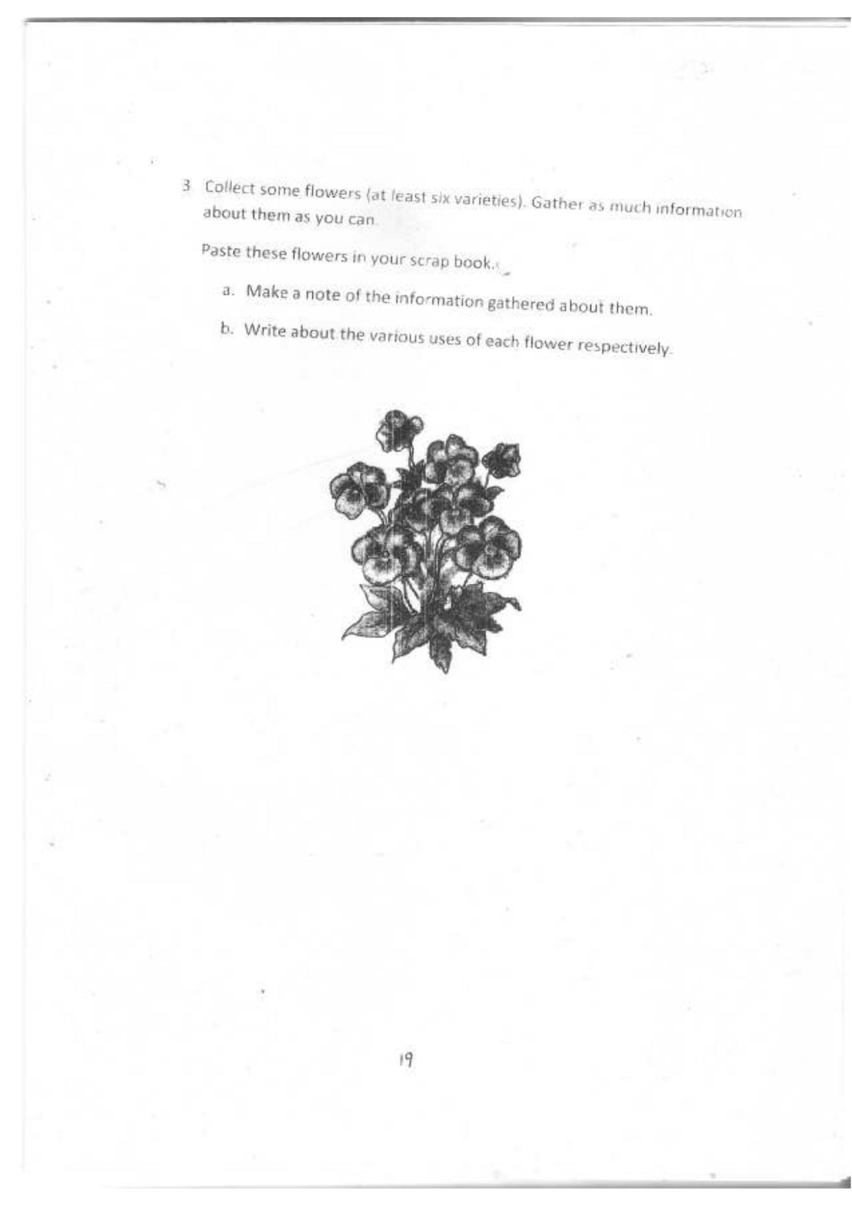 Worksheet for Class 3 All subjects Assignment 3 - Page 11