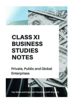 Class 11 Notes, Question & Practice Paper - Business Studies (Topic 3 : Private Public and Global Enterprises )