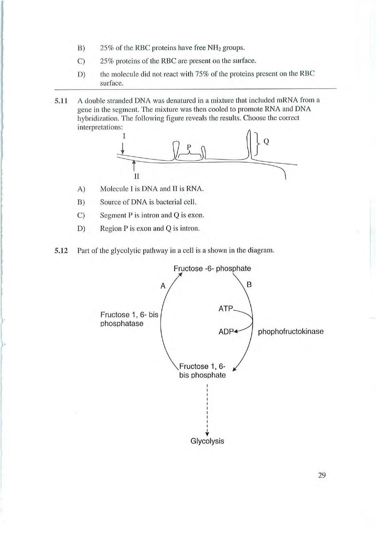 NEST 2022 Question Paper - Page 29