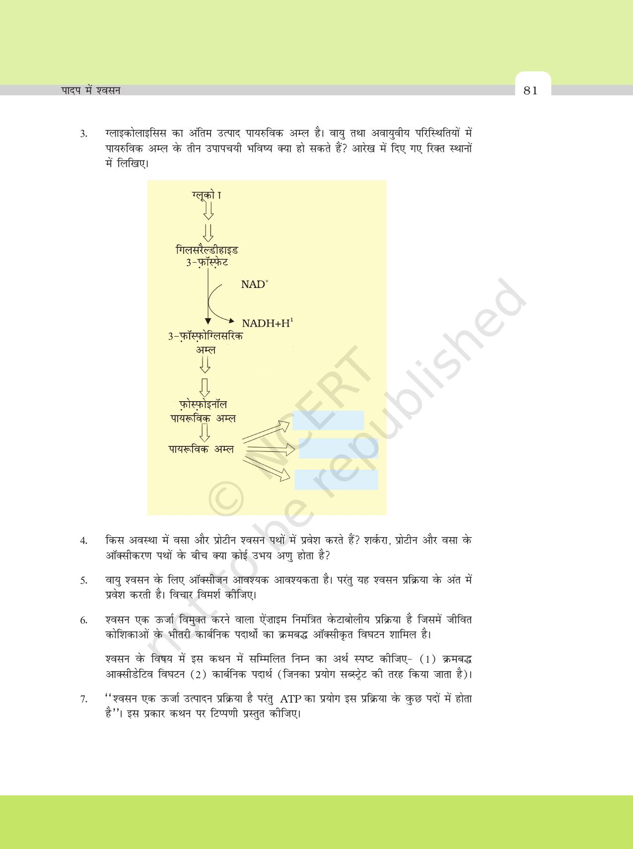 NCERT Exemplar Class 11: जीवविज्ञान अध्याय 14 (पादप मे श्वसन) - Page 4