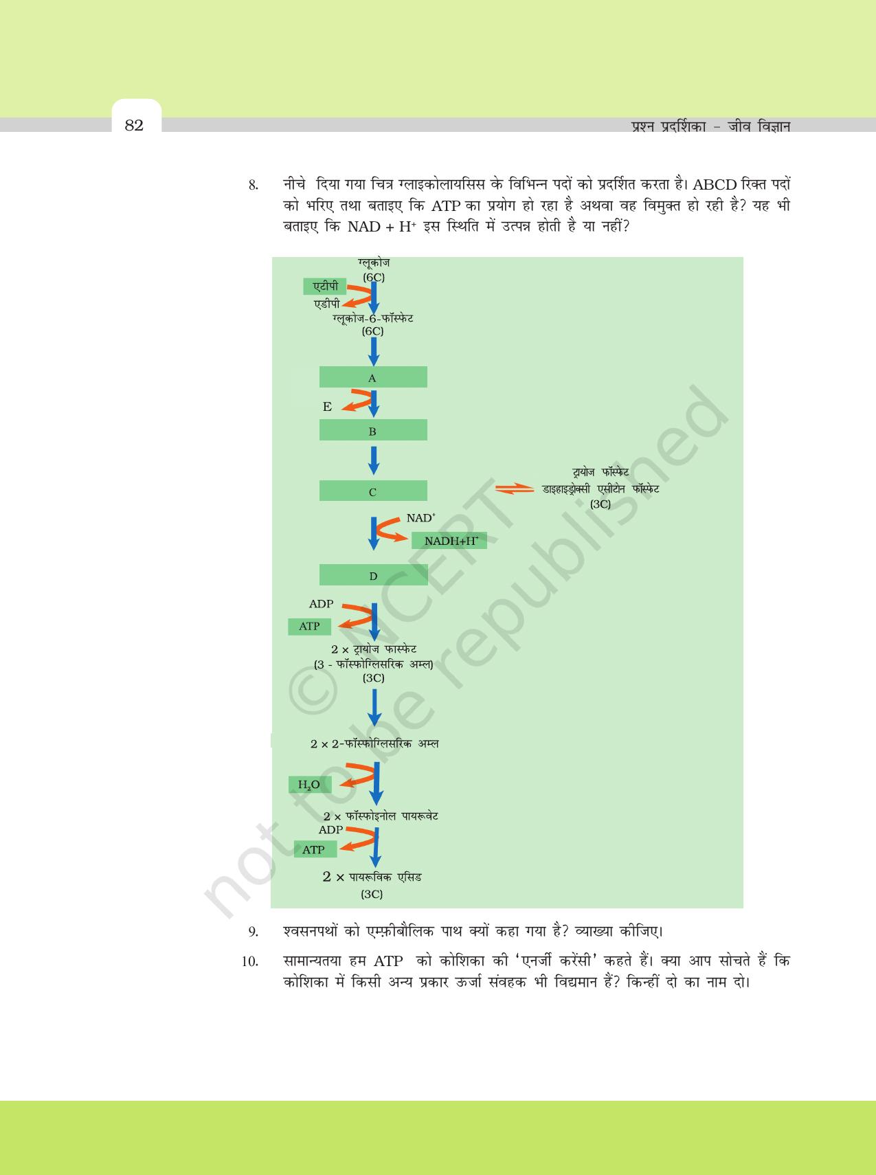 NCERT Exemplar Class 11: जीवविज्ञान अध्याय 14 (पादप मे श्वसन) - Page 5