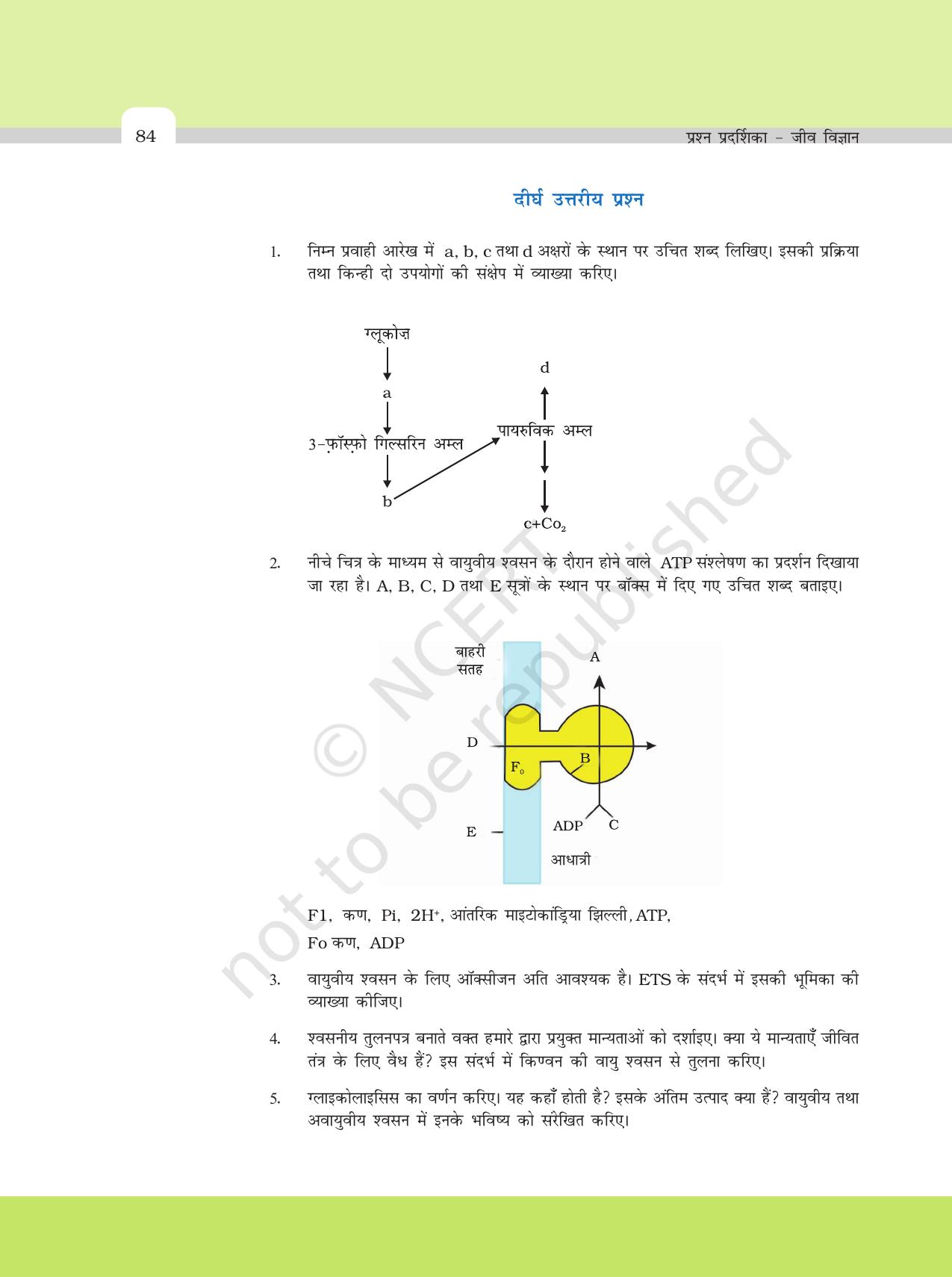 NCERT Exemplar Class 11: जीवविज्ञान अध्याय 14 (पादप मे श्वसन) - Page 7