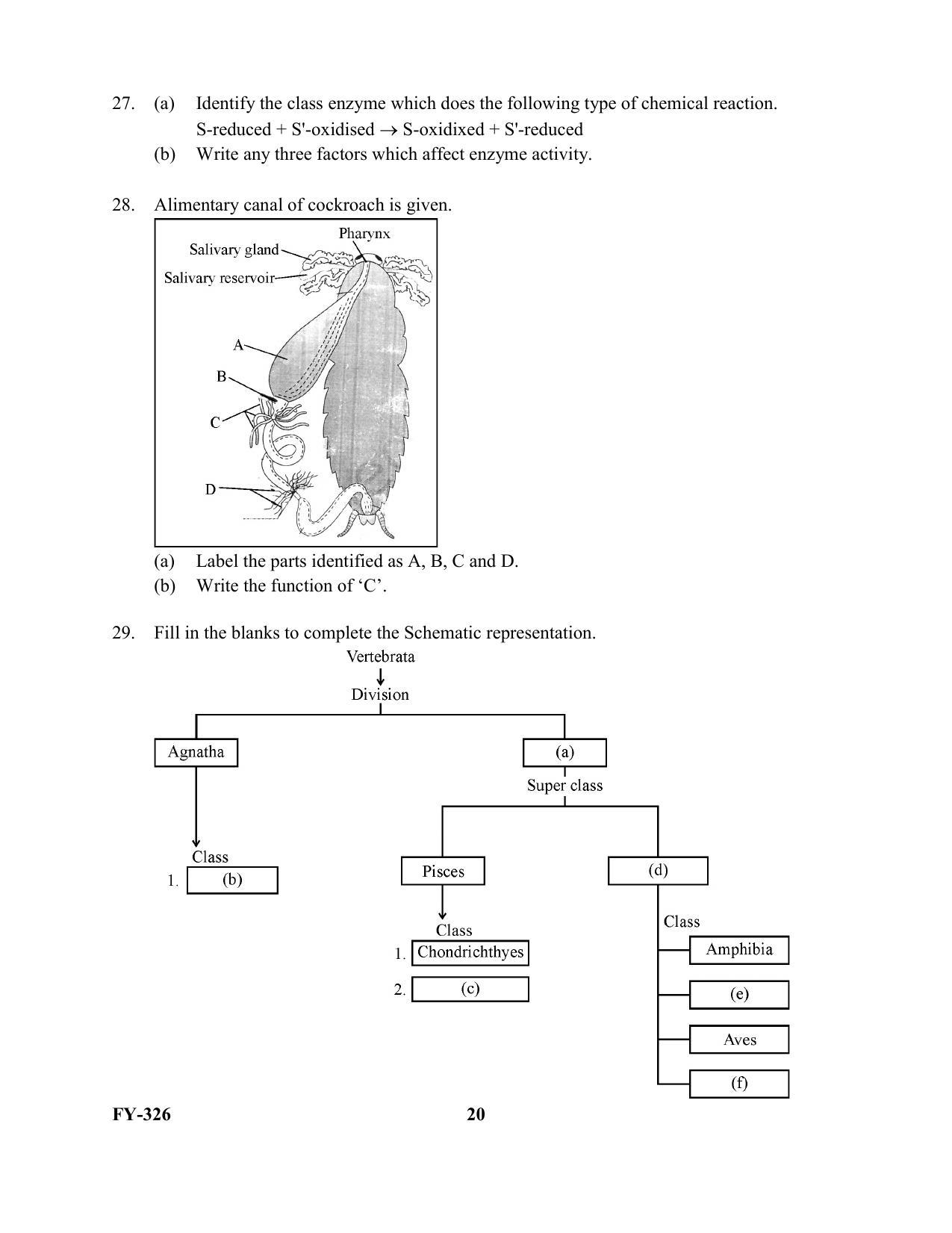 Kerala Plus One 2021 Biology Question Paper (Model) - Page 20