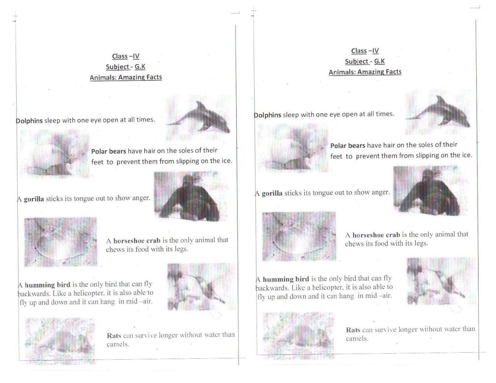 CBSE Worksheets for Class 6 General Knowledge Assignment 1 - Page 1