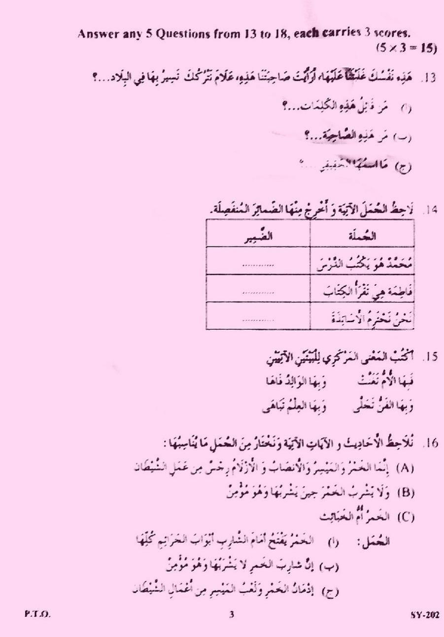Kerala Plus Two 2023 Arabic Model Question Paper - Page 3