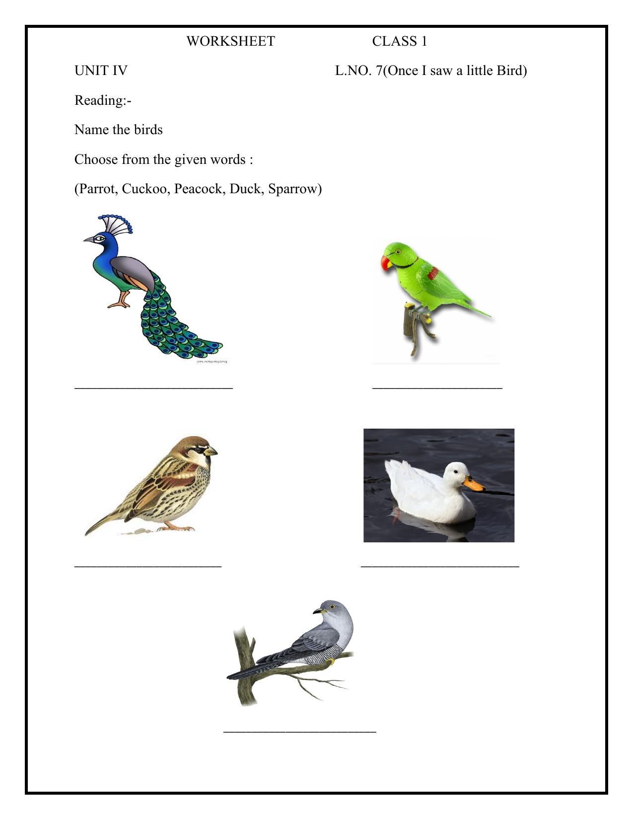 Worksheet for Class 1 English Assignment 23 Once I saw a little Bird - Page 1