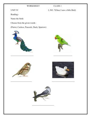 Worksheet for Class 1 English Assignment 23 Once I saw a little Bird