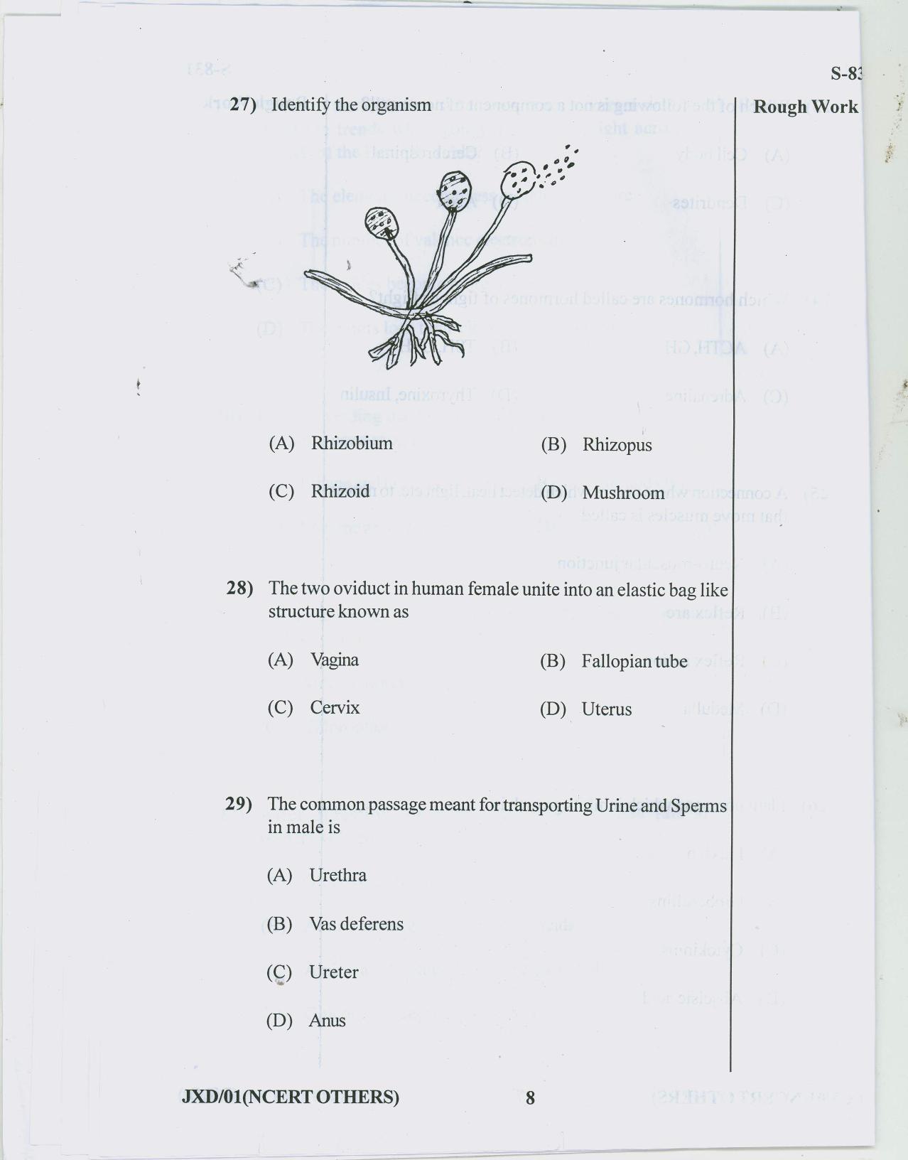 Gujarat Board Class 10th 11 ENGLISH NCERT OTHERS 2019 Question Paper - Page 8