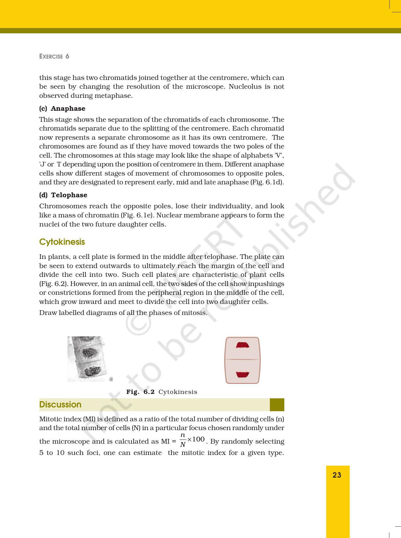 NCERT Laboratory Manuals for Class XII Biology - Exercise 6 - Page 4