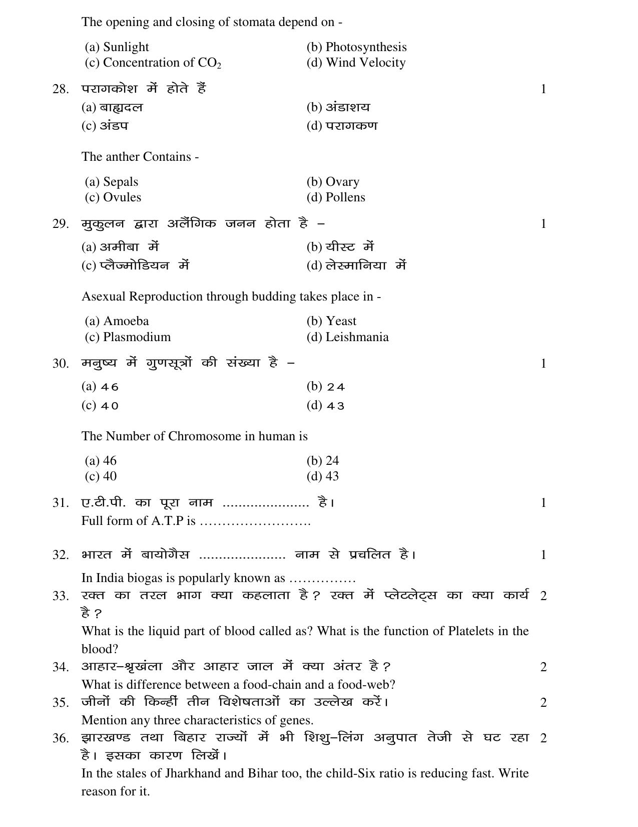 JAC Board Class 10th 2021 (All Subject) Model Paper SET - 3 - Page 25
