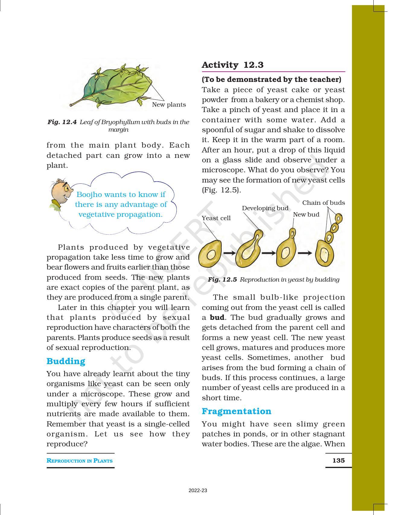 NCERT Book for Class 7 Science: Chapter 12-Reproduction in Plants - Page 3