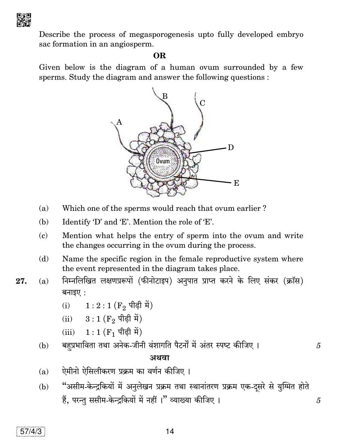 CBSE Class 12 57-4-3 Biology 2019 Question Paper - Page 14