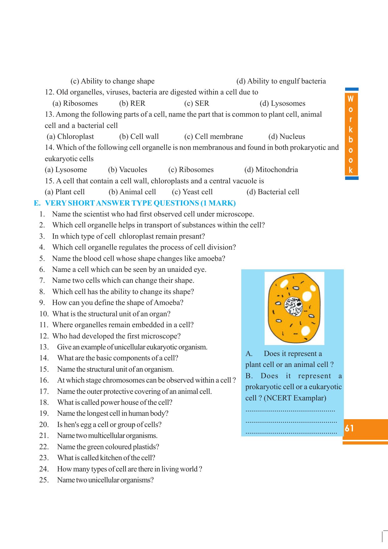 Tripura Board Class 8 Science English Version Workbooks - Page 61