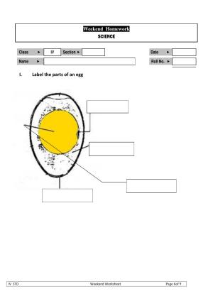 Worksheet for Class 4 Science Lifecycle Assignment