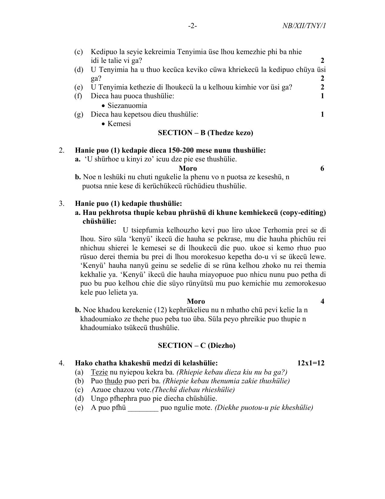 Nagaland Board Class 12 Tenyidie 2022 Question Paper - Page 2