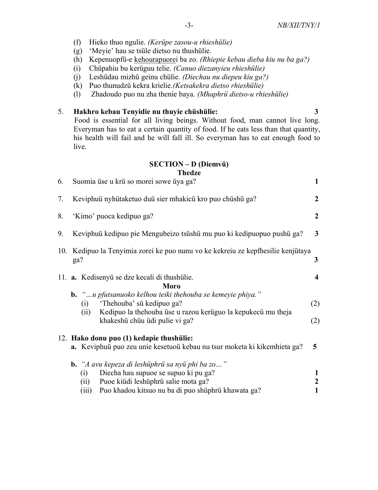 Nagaland Board Class 12 Tenyidie 2022 Question Paper - Page 3
