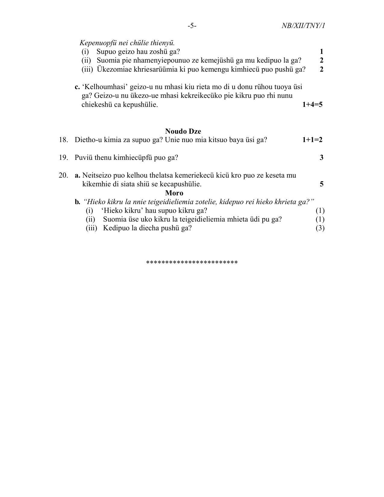 Nagaland Board Class 12 Tenyidie 2022 Question Paper - Page 5