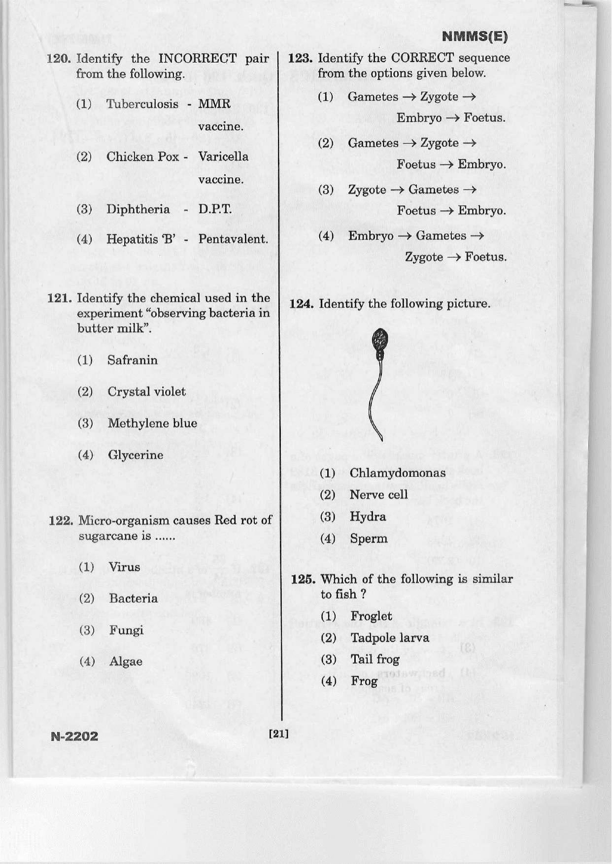 Telangana NMMS March 2022 English Question Paper - Page 19