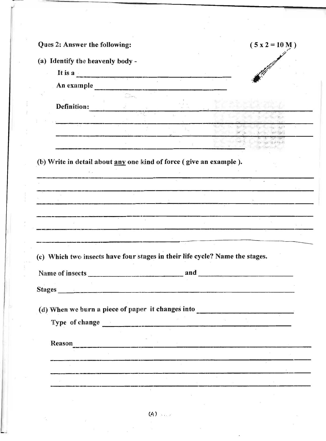 Worksheet for Class 4 Environmental Studies Assignment 5 - Page 4
