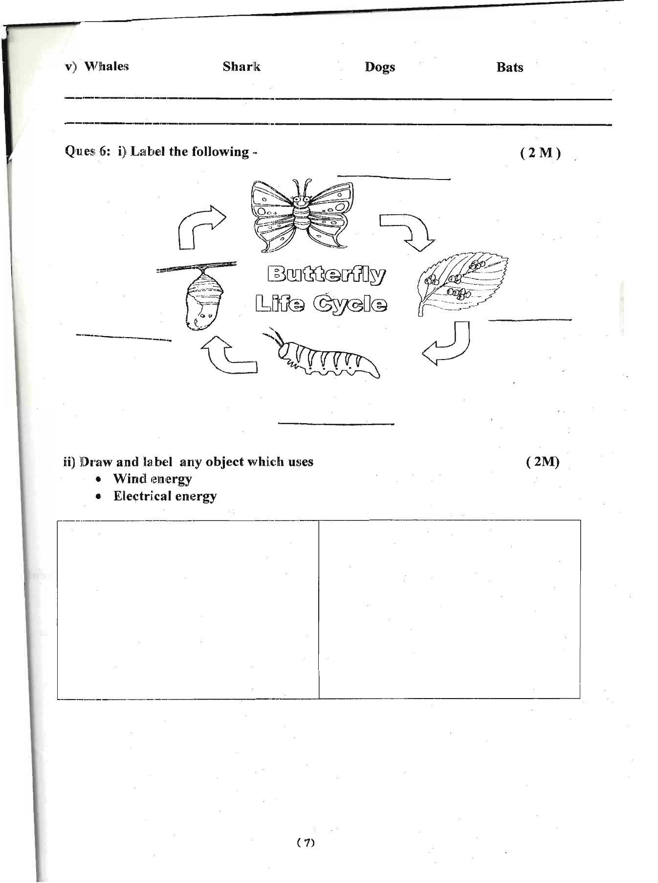 Worksheet for Class 4 Environmental Studies Assignment 5 - Page 7