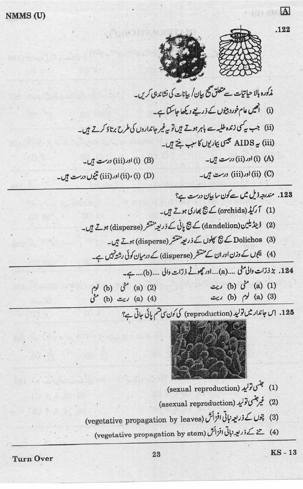 NMMS Feb 2021 - Booklet Code-A (Urdu Medium) - Page 23