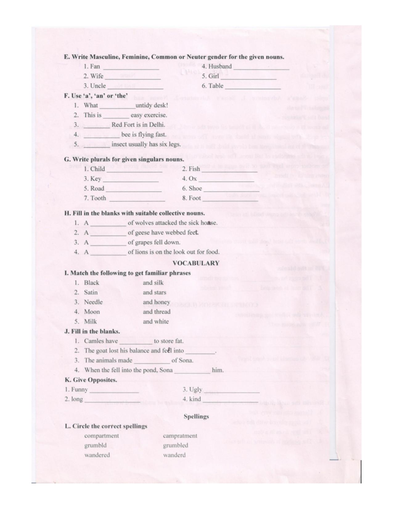 Worksheet for Class 3 English Assignment 20 - Page 2