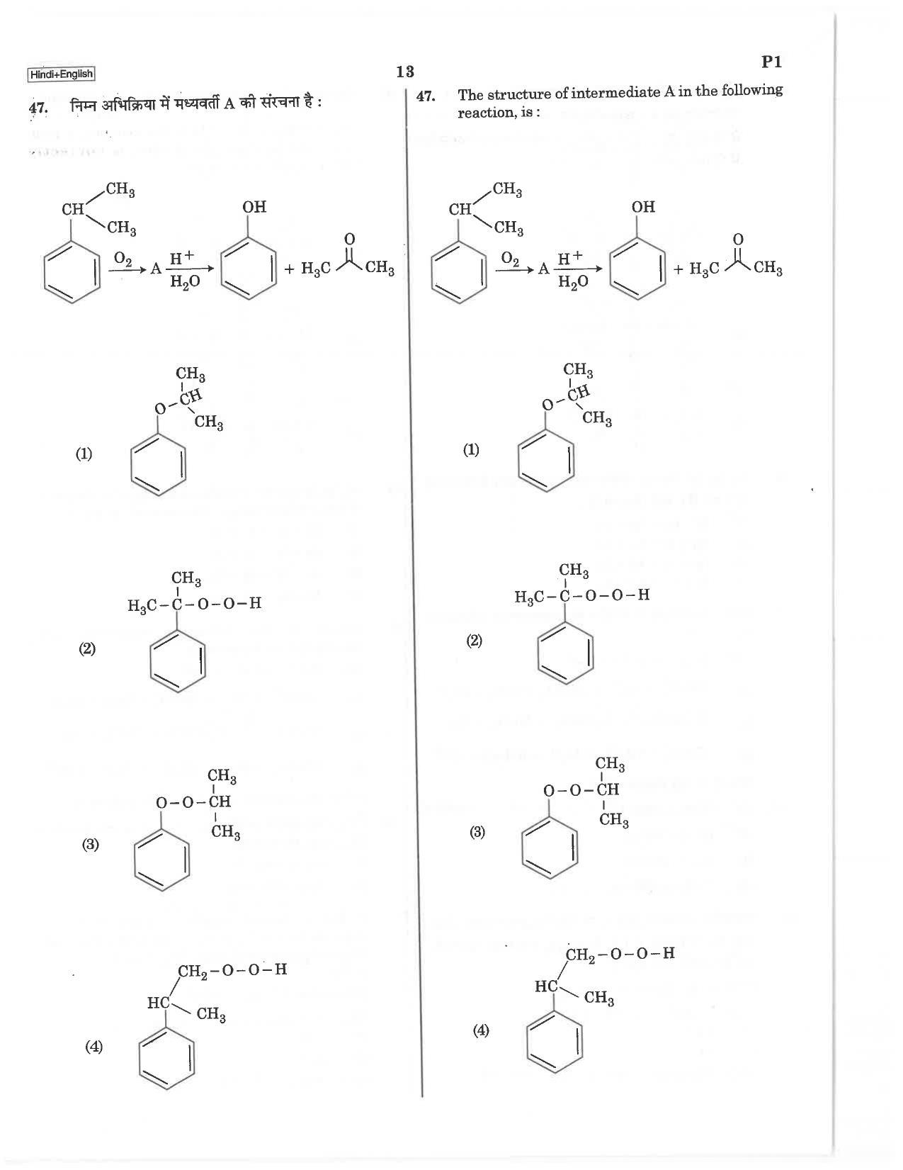 NEET P1 2019 Question Paper - Page 13