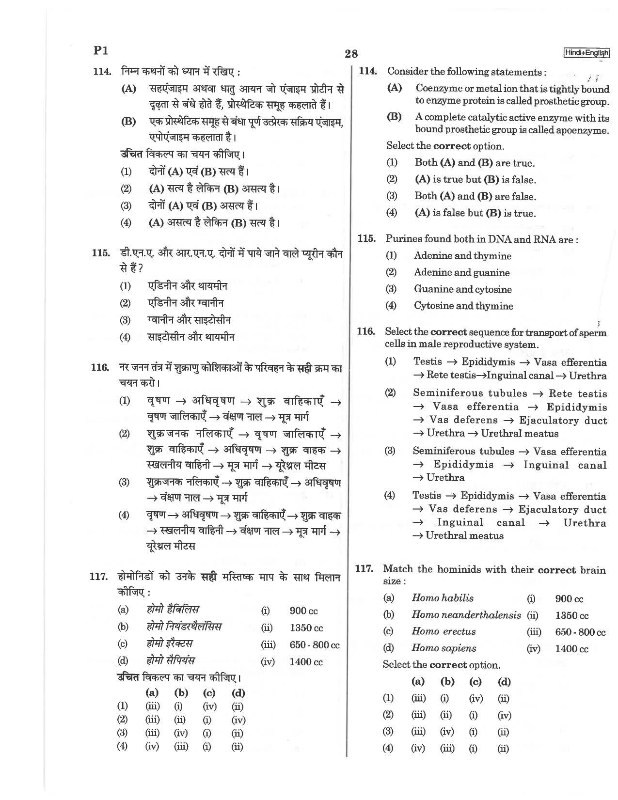 NEET P1 2019 Question Paper - Page 28