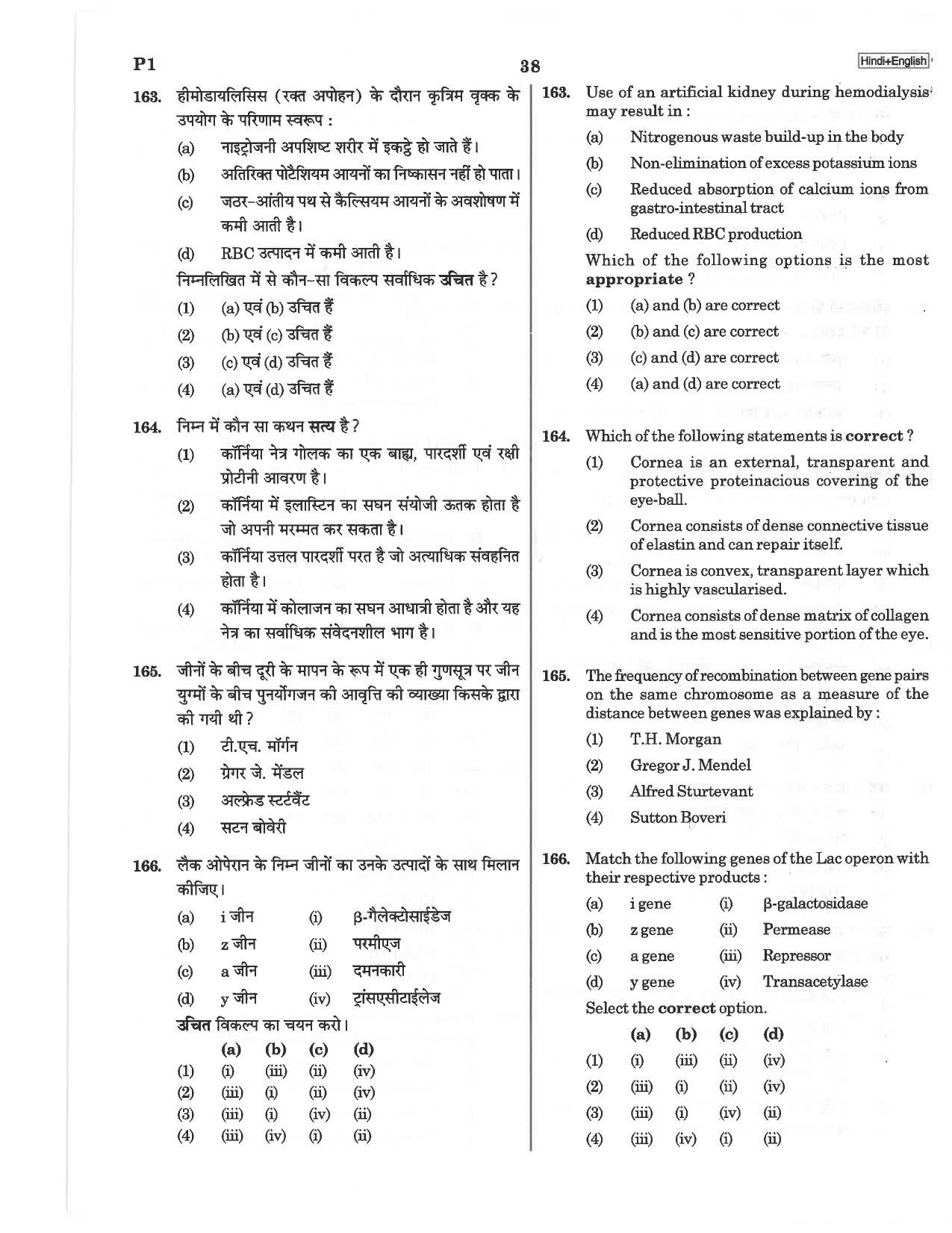 NEET P1 2019 Question Paper - Page 38