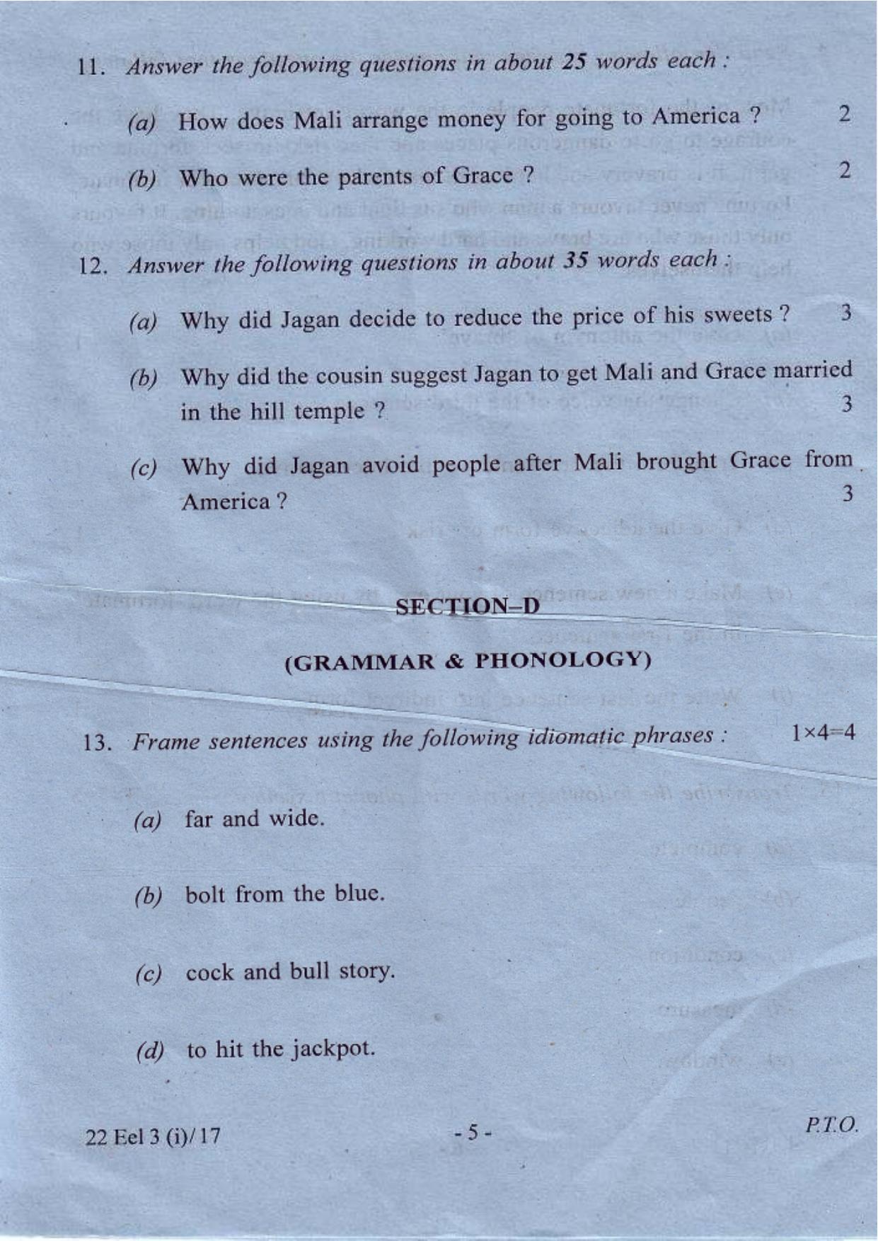 COHSEM Class 12 Elective English 2017 Question Papers - Page 5