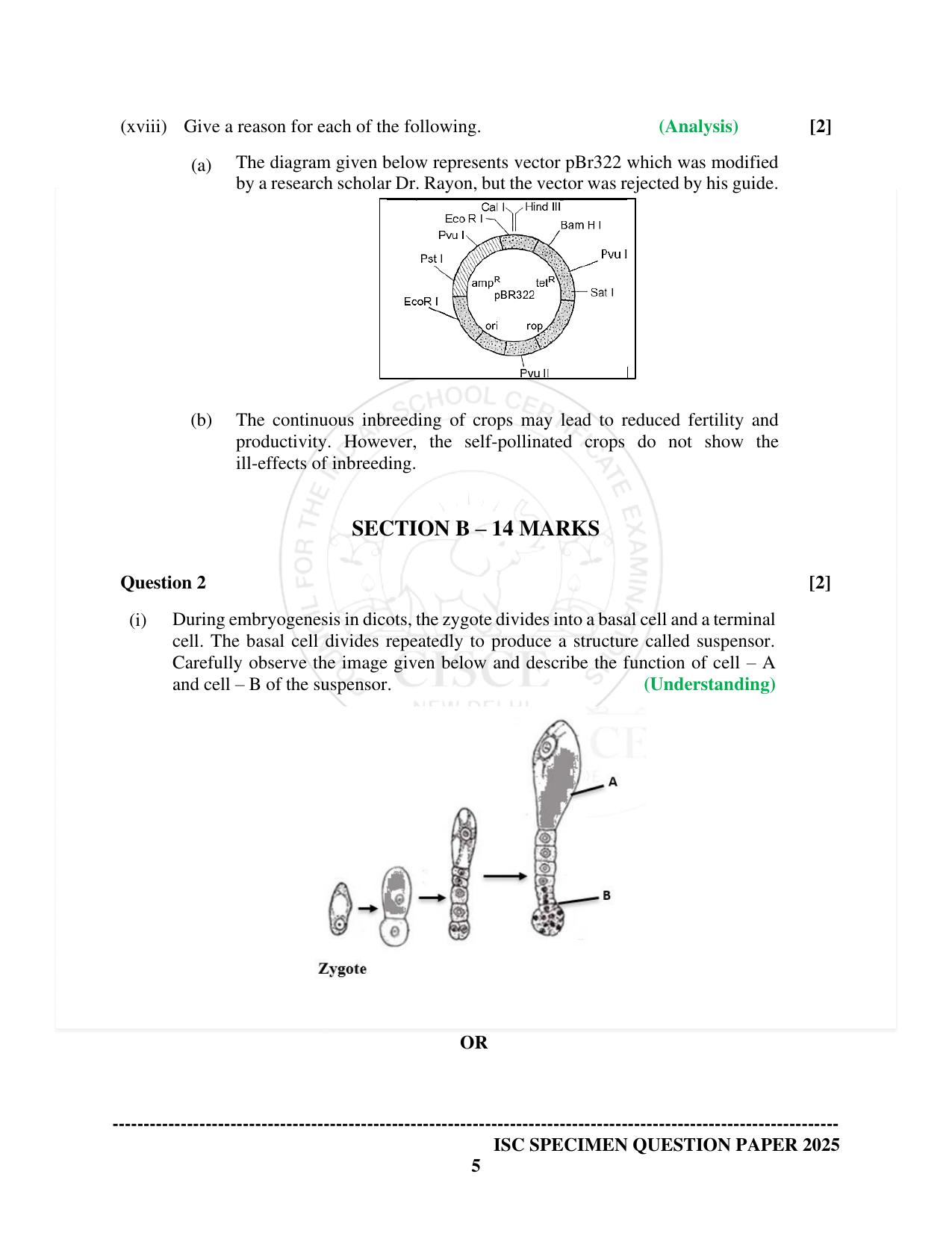 ISC Class 12 2025 Biology (SQP & AK) Specimen Paper - Page 5