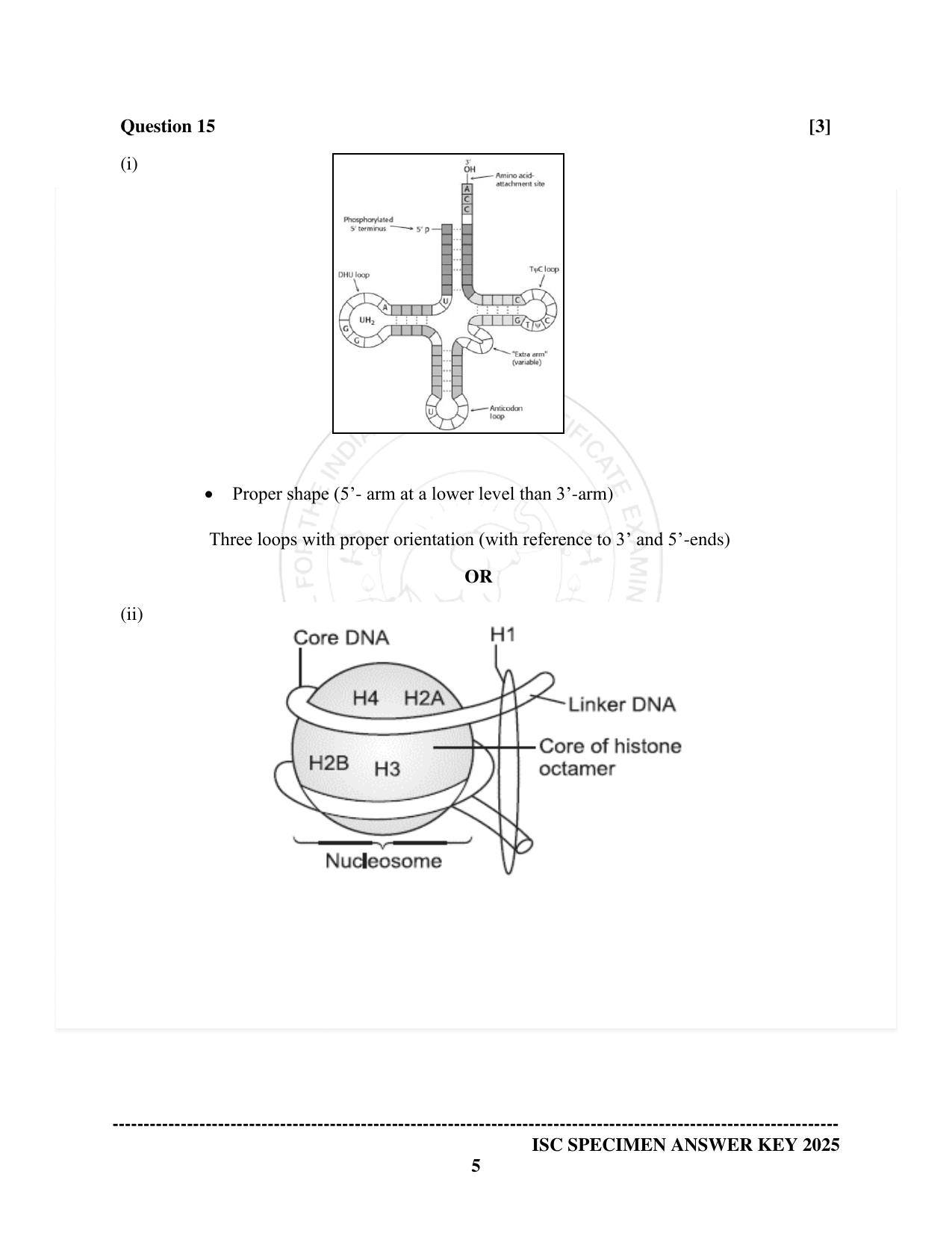 ISC Class 12 2025 Biology (SQP & AK) Specimen Paper - Page 16